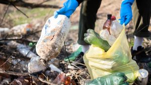Featured image for: Greenwashing, navigating the fine line between compliance and sustainable commitment